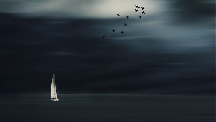 barca a vela bianca, natura, paesaggio, minimalismo, orizzonte, veliero, uccelli, Photoshop, nuvole, mare, barche a vela, Sfondo HD