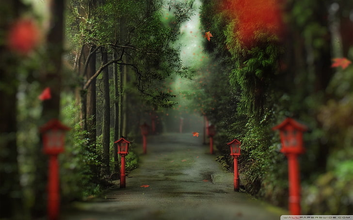 red post lamps on gray concrete road, road, tilt shift, path, forest, lantern, trees, HD wallpaper