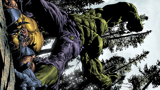 Hulk Hulk Wolverine Melawan HD, hulk dan x-men, kartun / komik, the, fight, wolverine, hulk, Wallpaper HD HD wallpaper