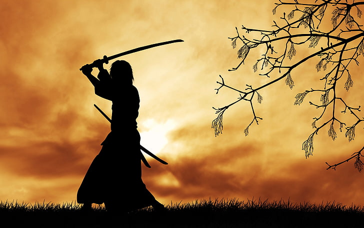siluet samurai digital wallpaper, samurai, pakaian Jepang, katana, siluet, pohon, cabang, rumput, awan, matahari, seni digital, pedang, Wallpaper HD