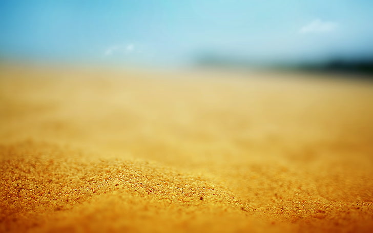 pasir coklat, fotografi selektif pasir coklat, pasir, pantai, makro, Wallpaper HD