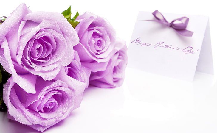 Glücklicher Muttertag, vier lila Rosen, Feiertage, Muttertag, glücklicher Muttertag, Feiertag, HD-Hintergrundbild