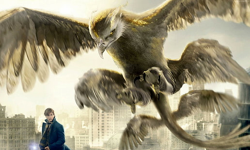 Fantastic Beasts And Where To Find Them, Best Movies, Eddie Redmayne, HD wallpaper HD wallpaper