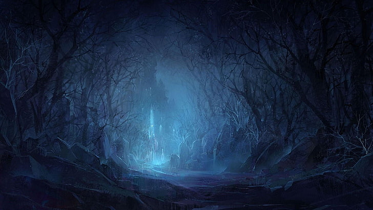 forest, night, dark, darkness, twilight, art, HD wallpaper