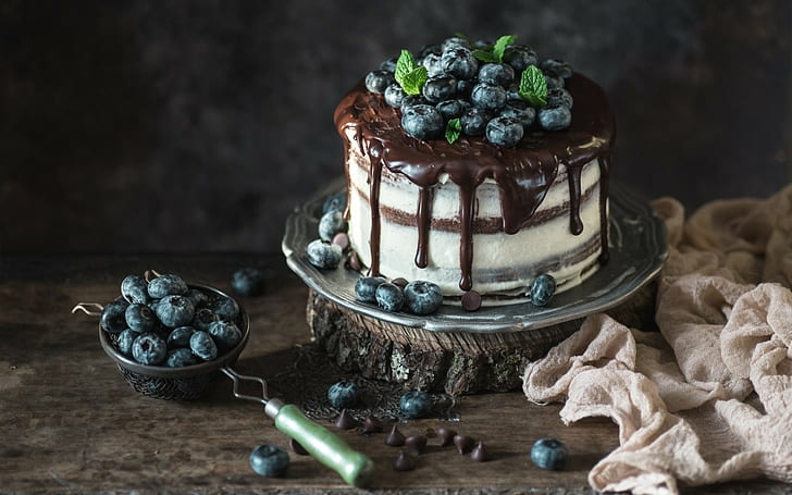 Kuchen, Beeren, Lebensmittel, Schokolade, Heidelbeeren, HD-Hintergrundbild