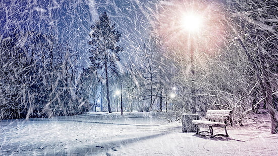 light, night, snowing, streetlight, snowy, forest, blizzard, fir, snowfall, park, winter, branch, bench, street light, freezing, tree, frost, nature, snow, HD wallpaper HD wallpaper
