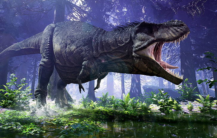 5K, T-Rex, Tyrannosaurus, HD wallpaper