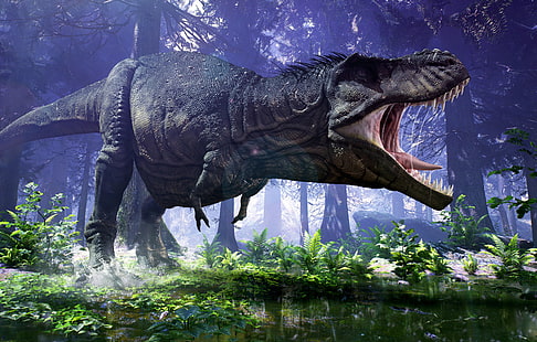 5K, T-Rex, Tiranossauro, HD papel de parede HD wallpaper