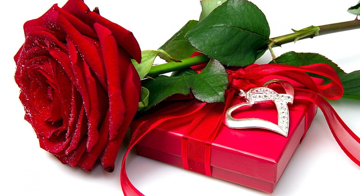 red rose, box, flower, heart, love, red, rose, HD wallpaper