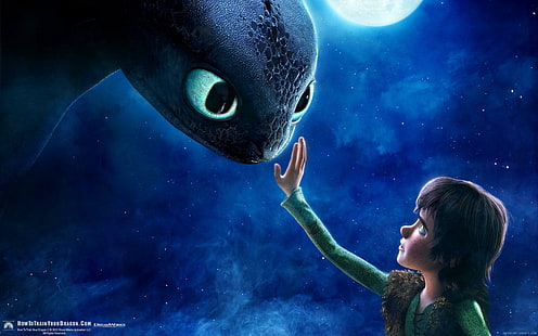 How to train your dragon Hiccup and Toothless in the night, how to train your dragon poster, dragon, movie, cartoon, hiccup, toothless, night, HD wallpaper HD wallpaper