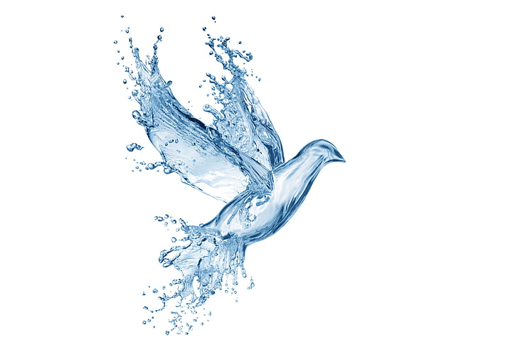 clear water bird illustration, drops, squirt, creative, figure, dove, splash, art, Water, pigeon, drawing, creativity, HD wallpaper