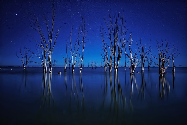 сине-белая абстрактная живопись, природа, темно, синий, вода, деревья, HD обои