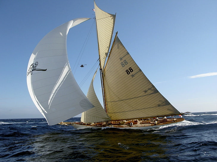 beige and white sailboat, the wind, yacht, sails, the excitement, championship, HD wallpaper