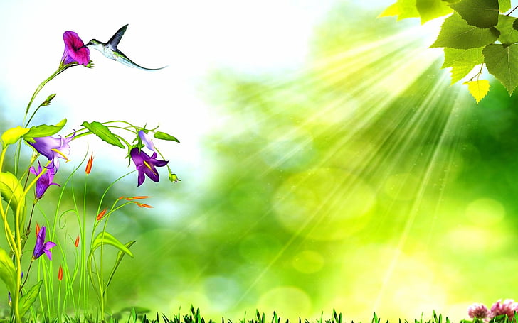 Künstlerisch, Frühling, Blume, Kolibri, Blatt, Sonnenschein, Tulpe, HD-Hintergrundbild