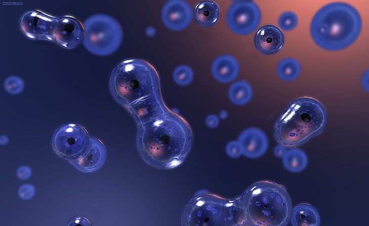 Zellteilung, Abbildung von Molekülen, Künstlerisch, Abstrakt, Zelle, Teilung, HD-Hintergrundbild