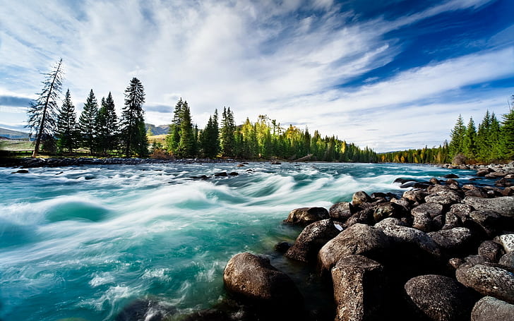 Natur, Fluss, Steine, Bäume, Langzeitbelichtung, HD-Hintergrundbild