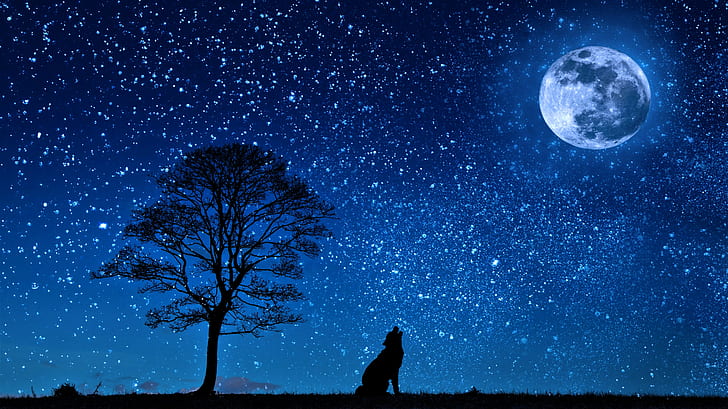 Животно, вълк, артистичен, виещ, луна, нощ, силует, звездно небе, звезди, дърво, HD тапет