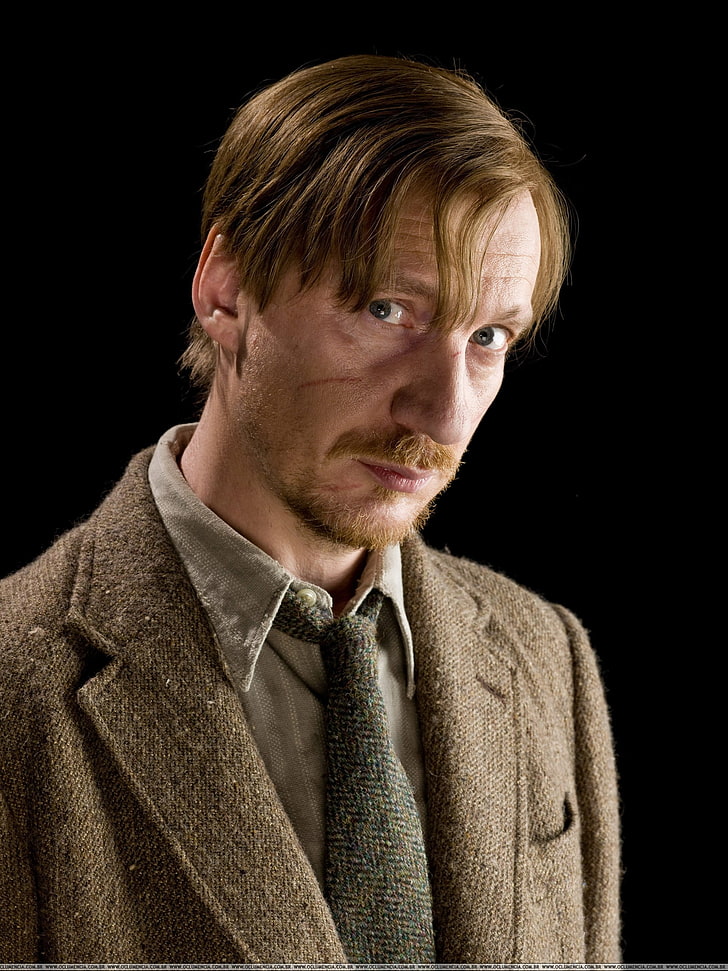 people harry potter actors cast remus lupin david thewlis 2000x2667  People Actors HD Art , people, Harry Potter, HD wallpaper
