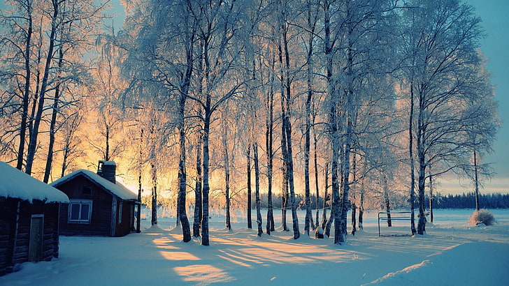 Зимнее утро: когда природа украшает себя вот так ... Что еще сказать?просто наслаждаться!!, HD обои
