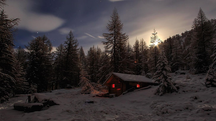 cabin, light, mountain, evening, woody plant, freezing, tree, wilderness, sky, cottage, nature, forest, snow, winter, log cabin, house, home, HD wallpaper