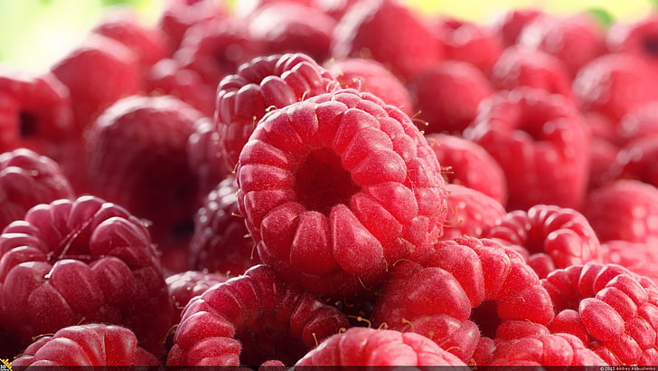 raspberry, buah, Wallpaper HD
