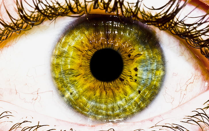 The Eye HD, person yellow eye, the, creative, graphics, creative and graphics, eye, HD wallpaper