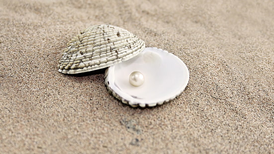 weiße Perle, Hintergrund, Sand, Muschel, Perle, HD-Hintergrundbild HD wallpaper