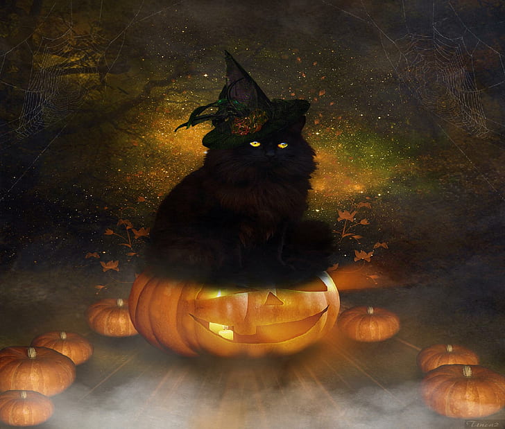 ~Halloween Black Cat~, pumkins, halloween, photomanipulation, lovely, weird-things-people-wear, creative-pre--made, backg, HD wallpaper
