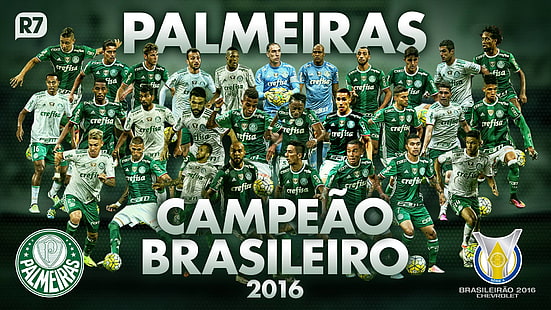 Palestra Itália, Palmeiras, HD wallpaper HD wallpaper