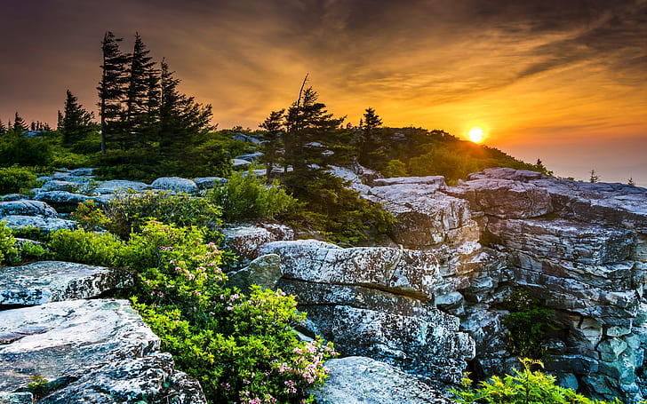 Manzara Abd gündoğumu ve günbatımı taşlar Batı Virginia köknar doğa 414039, HD masaüstü duvar kağıdı