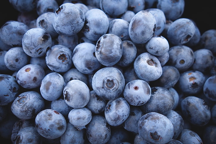 blue grapes, blueberry, berry, ripe, HD wallpaper
