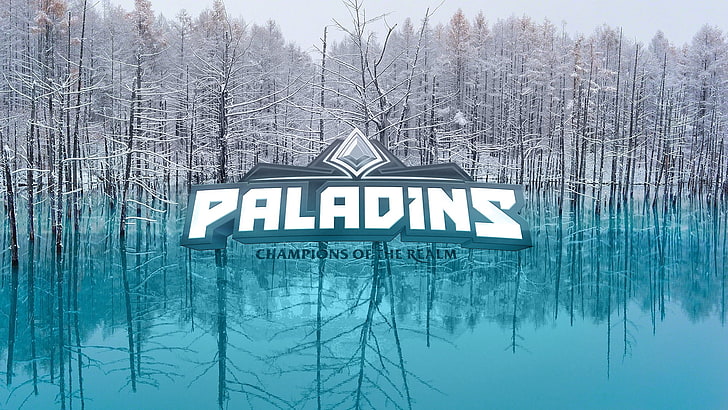 Paladins campioni del logo Realm, Paladin, spes salutis, Sfondo HD
