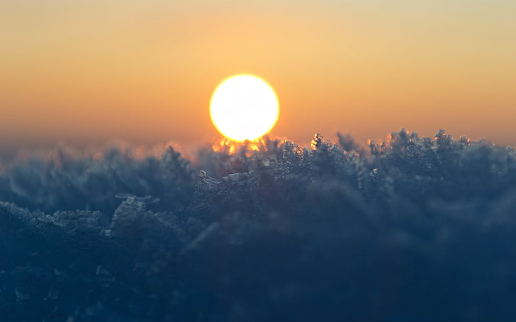orange Sonne, goldene Stunde, Sonne, Bokeh, Makro, Frost, Winter, Natur, HD-Hintergrundbild