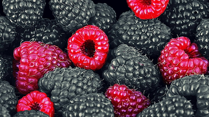 raspberry, makan, Wallpaper HD