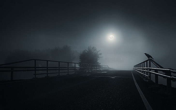 полутоновое фото из металлических перил, мост, темно, луна, ворона, птицы, туман, дорога, деревья, ночь, природа, пейзаж, черный, HD обои