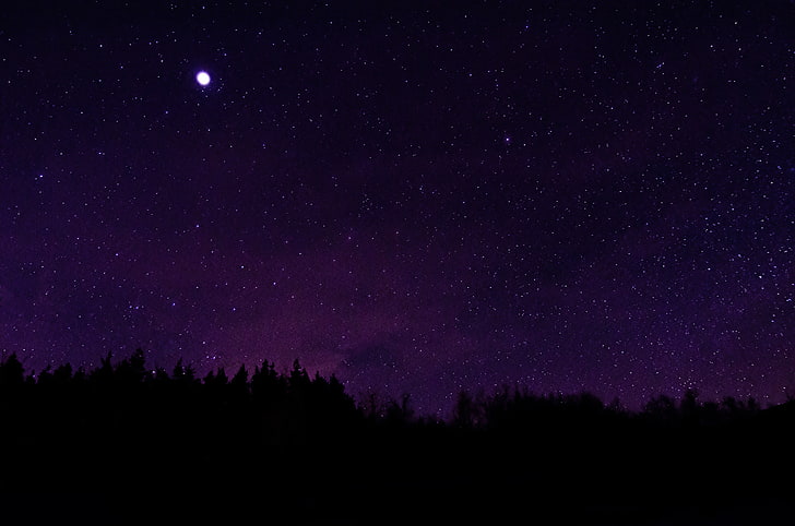 silhueta de árvores sob a noite estrelada, estrelas, silhueta, céu noturno, HD papel de parede