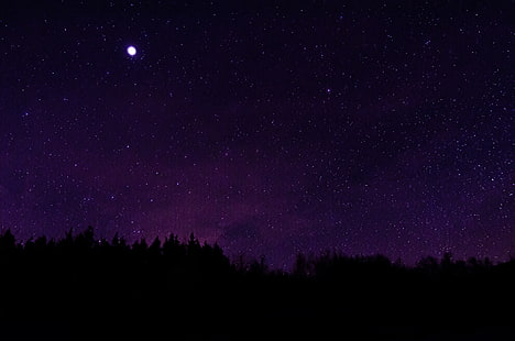 силуэт деревьев под звездной ночью, звёзды, силуэт, ночное небо, HD обои HD wallpaper