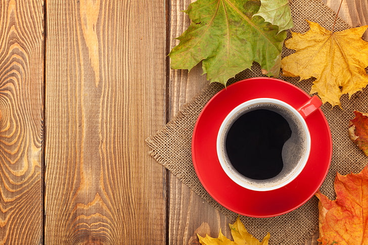 weiße und rote Tasse, Herbst, Kaffee, Tasse, Ahorn, Blätter, Herbst, Herbstlaub, HD-Hintergrundbild