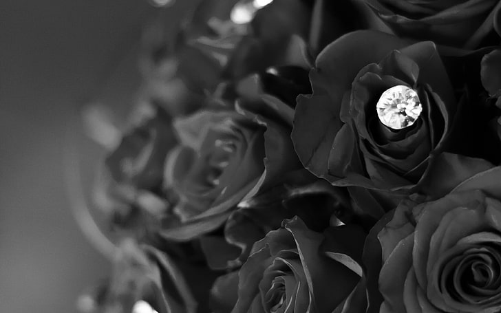flower, with, diamond, dark, bw, love, propose, HD wallpaper