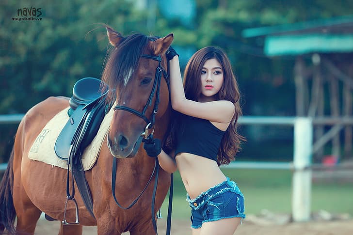 asiatico, hot pants, cavallo, Sfondo HD