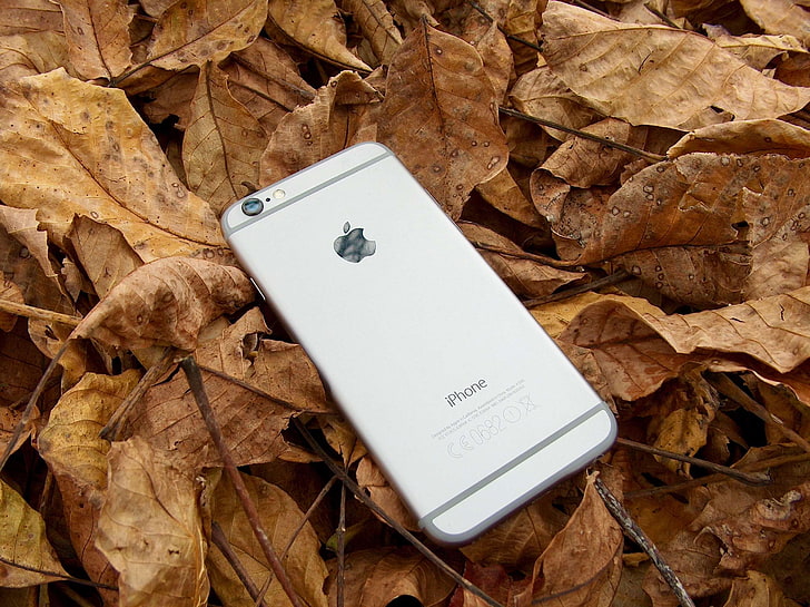 apple, autumn, color, iphone, iphone 6, nature, telephone, HD wallpaper