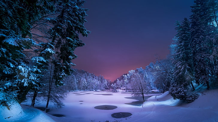 winter, snow, night, nature, sky, freezing, tree, snowy, wilderness, light, lake, evening, frozen lake, fir, frost, frozen, HD wallpaper