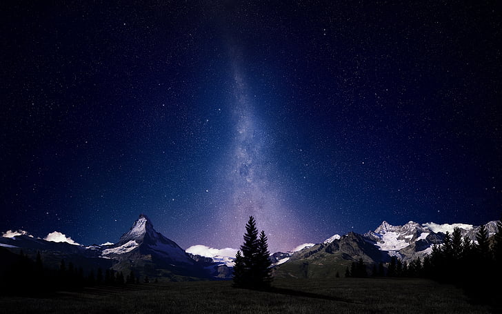 albero di pino durante la notte foto, Alpi svizzere, cielo notturno, Via Lattea, HD, Sfondo HD