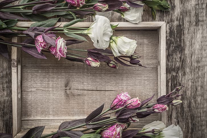 flowers, bouquet, eustoma, HD wallpaper