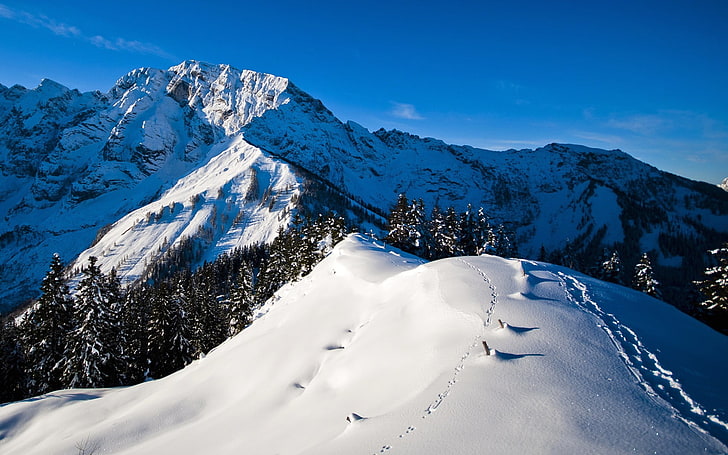 textile floral blanc et bleu, nature, montagnes, paysage, neige, Fond d'écran HD