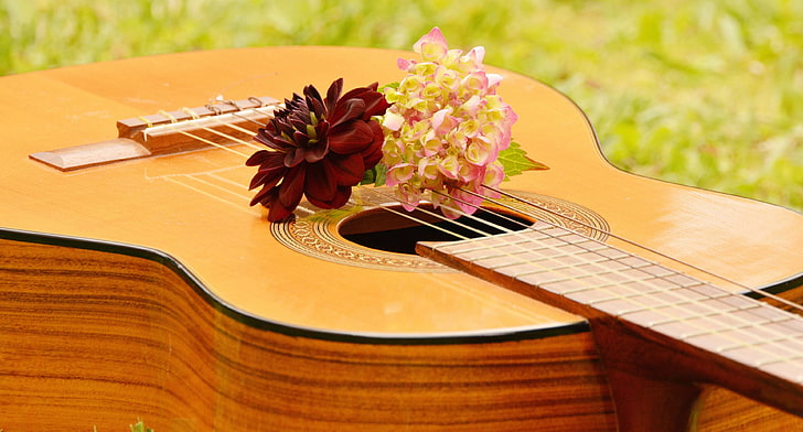 acoustics, floral greeting, guitar, instrument, music, musical instrument, stringed instrument, wooden guitar, HD wallpaper