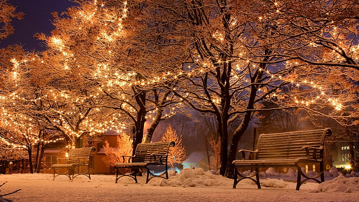 зима, снег, рождественские огни, ветка, дерево, ночь, вечер, освещение, мороз, парк, небо, скамейка, скамейки, рождественский сезон, рождество, HD обои
