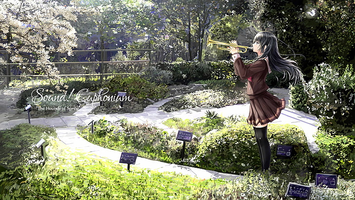 Hibike!Euphonium, Kousaka Reina, HD-Hintergrundbild