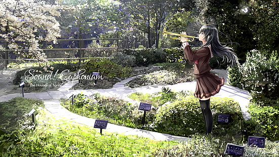 Hibike!Euphonium, Kousaka Reina, HD-Hintergrundbild HD wallpaper