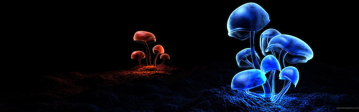 blå och röda svampar, flera skärmar, svamp, natur, digital konst, enkel bakgrund, röd, blå, HD tapet